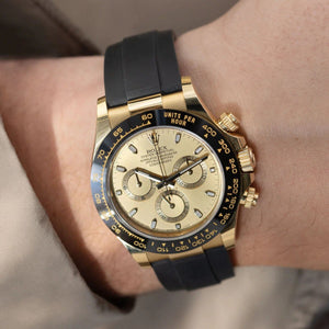 Rolex Cosmograph Daytona Golden and bright black dial