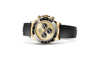 Rolex Cosmograph Daytona Golden and bright black dial