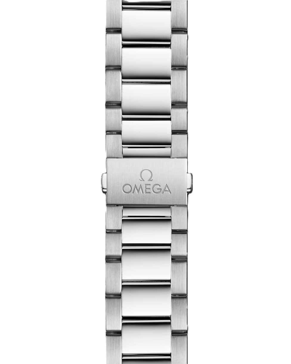Omeg_a Seamaster Aqua Terra 150M - View 6