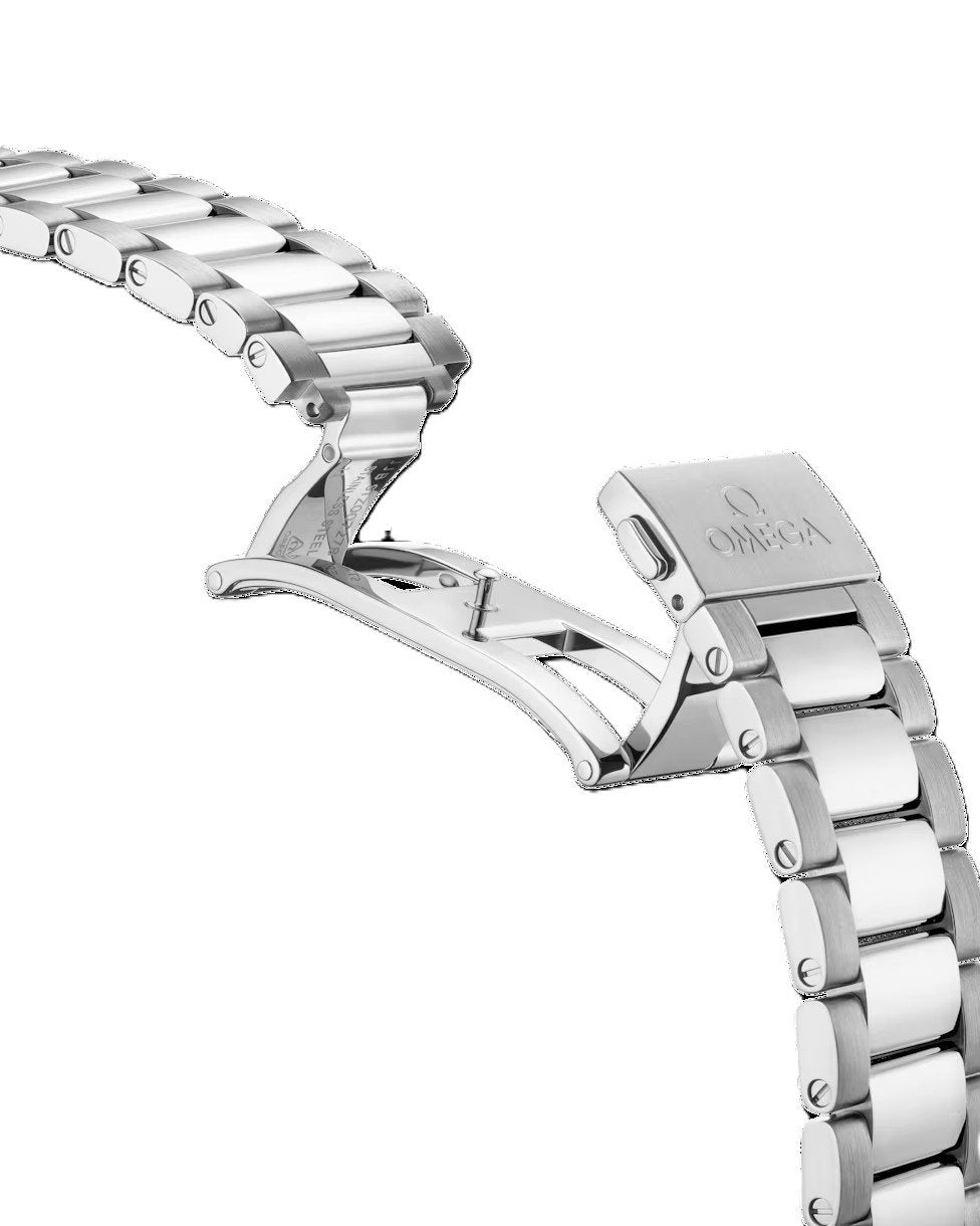 Omeg_a Seamaster Aqua Terra 150M - View 5